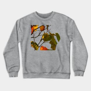 Leaves Crewneck Sweatshirt